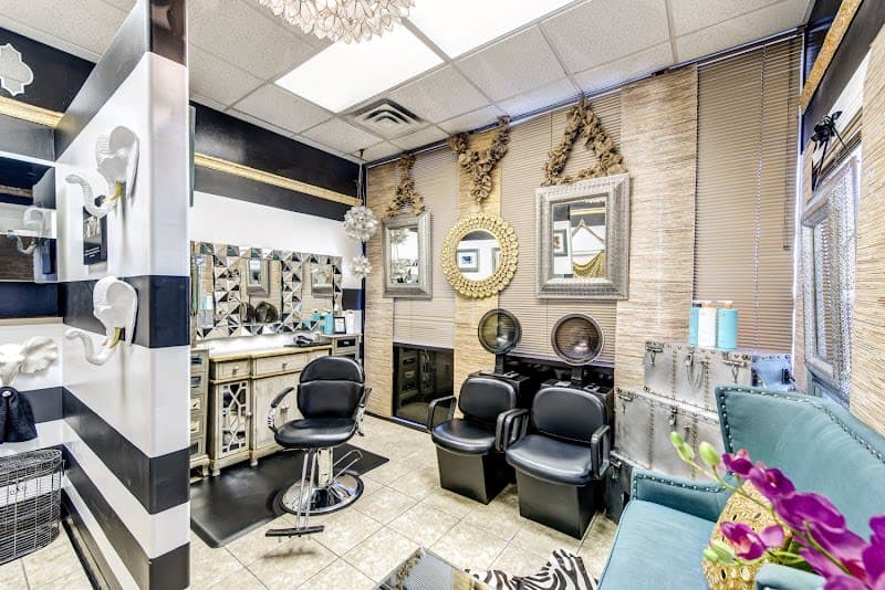 Salon Meyerland - Natural and Relaxed Black Hair in Houston photo 2 - beauty in DFW, TX