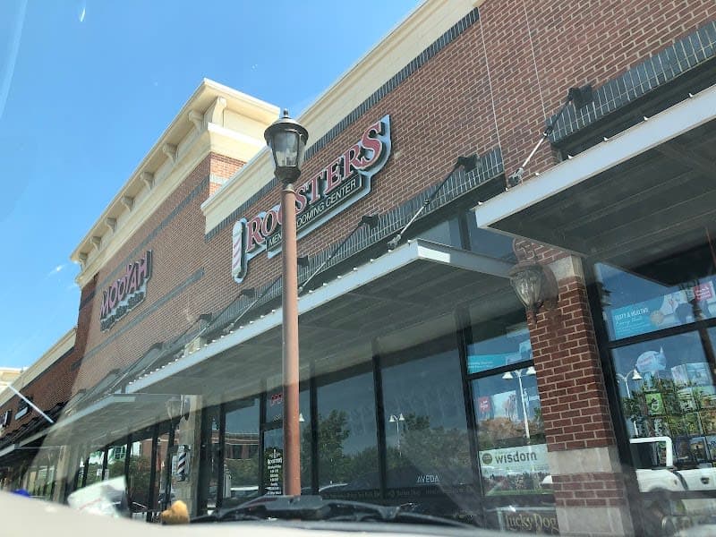 Roosters photo 2 - beauty in DFW, TX