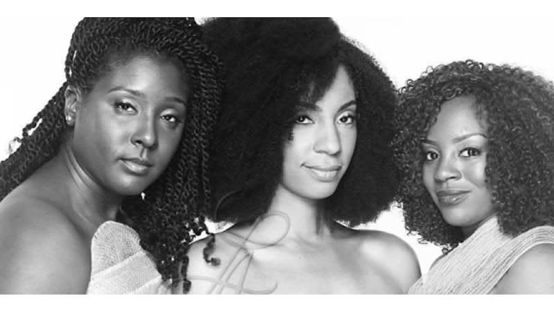 Lady Ayri Natural Hair Care LLC in Houston