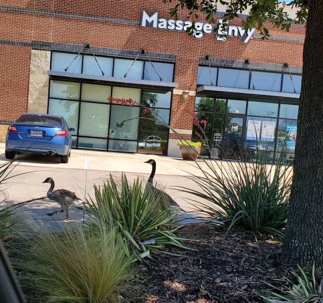 Massage Envy photo 2 - beauty in DFW, TX