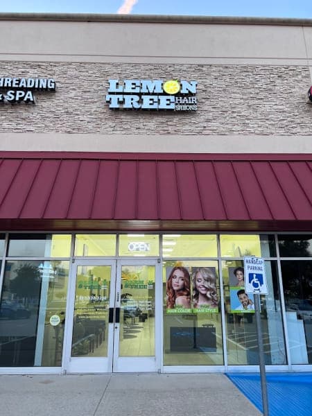 Lemon Tree Southlake cover photo - beauty in DFW, TX