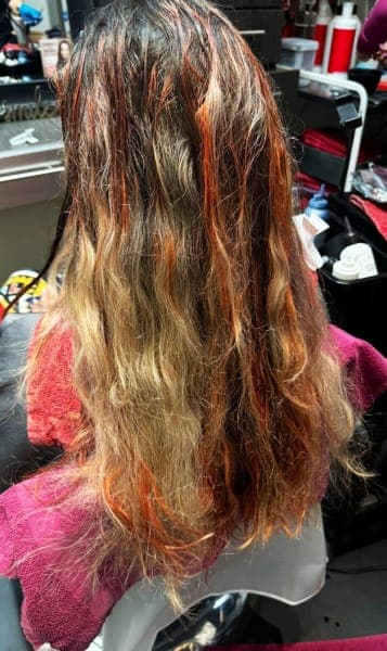 Salon Shima in Addison